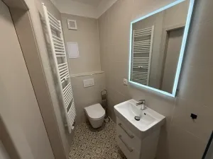 Pronájem bytu 1+kk, Brno, Palackého třída, 27 m2