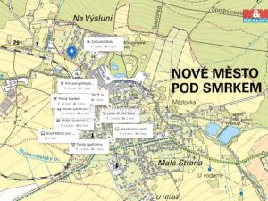 Prodej rodinného domu, Nové Město pod Smrkem, Frýdlantská, 200 m2