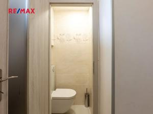 Prodej bytu 1+kk, Praha - Staré Město, Hradební, 42 m2