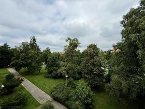Prodej bytu 2+kk, Havířov, Přemyslova, 52 m2