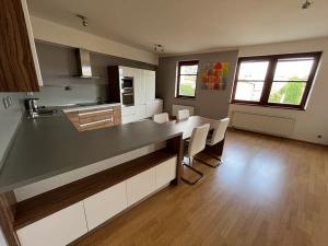 Pronájem bytu 3+kk, Opava, Na Rybníčku, 90 m2