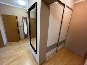 Pronájem bytu 3+kk, Opava, Na Rybníčku, 90 m2
