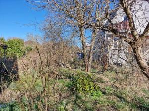 Prodej rodinného domu, Františkovy Lázně, Budovatelská, 185 m2