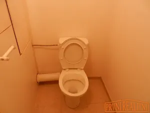 Pronájem bytu 1+1, Uherský Brod, Revoluční, 42 m2