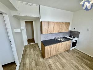 Pronájem bytu 1+1, Písek, Dr. M. Horákové, 36 m2