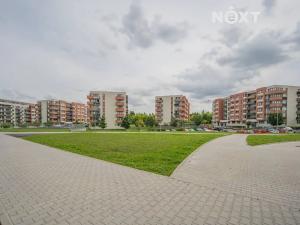Pronájem bytu 1+kk, Olomouc, Aloise Rašína, 28 m2