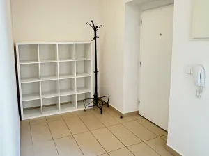 Pronájem bytu 2+kk, Brno, Úvoz, 59 m2