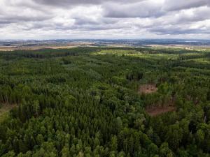 Prodej rodinného domu, Babice, Honzíkova, 389 m2