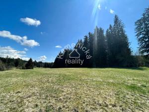 Prodej pozemku pro bydlení, Černá v Pošumaví, 25271 m2