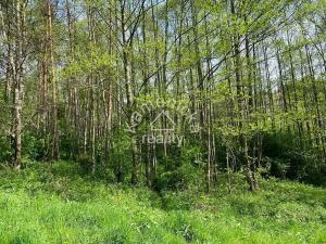 Prodej pozemku pro bydlení, Malšín, 113244 m2