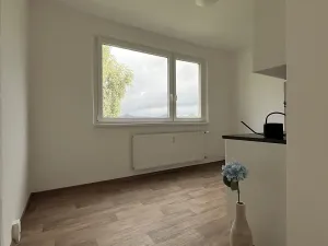 Pronájem bytu 4+1, Česká Lípa, Okružní, 82 m2