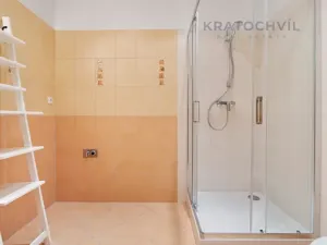 Pronájem bytu 2+kk, Praha - Záběhlice, Kamelova, 54 m2
