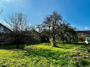 Prodej pozemku pro bydlení, Blížejov, Týnská, 1462 m2