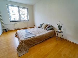 Prodej bytu 2+1, Luštěnice, 50 m2