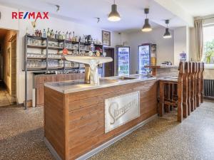Prodej obchodního prostoru, Čelákovice, Rumunská, 1290 m2