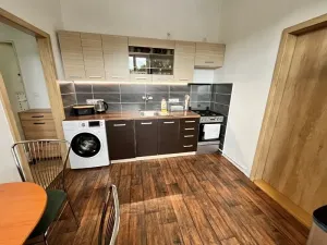 Prodej bytu 1+1, Jihlava, Březinovy sady, 41 m2
