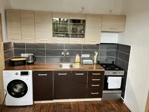 Prodej bytu 1+1, Jihlava, Březinovy sady, 41 m2