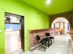 Prodej komerční nemovitosti, Kolín, Kmochova, 560 m2