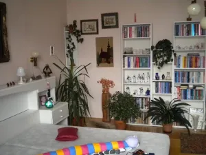 Dražba bytu 2+1, Olomouc, Resslova, 122 m2
