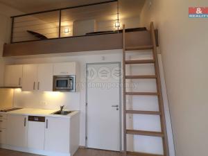 Prodej bytu 1+kk, Loučná pod Klínovcem - Loučná, 25 m2