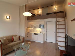 Prodej bytu 1+kk, Loučná pod Klínovcem - Loučná, 25 m2