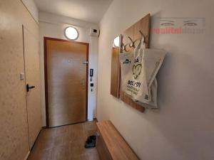 Pronájem bytu 1+kk, Brno, Opálkova, 25 m2