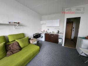 Pronájem bytu 1+kk, Brno, Opálkova, 25 m2