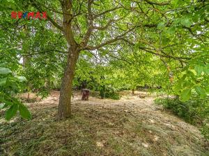 Prodej chalupy, Bílichov, 55 m2