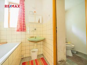 Prodej chalupy, Bílichov, 55 m2