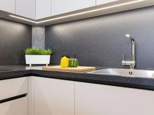 Pronájem bytu 2+kk, Ostrava, Mongolská, 40 m2