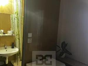 Pronájem bytu 1+kk, Plzeň, Toužimská, 32 m2