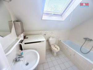 Pronájem rodinného domu, Praha - Braník, Údolní, 330 m2