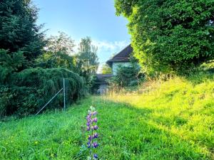 Prodej rodinného domu, Těrlicko - Hradiště, K Lesu, 133 m2
