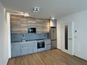 Pronájem bytu 2+kk, Brno, Placzkova, 51 m2