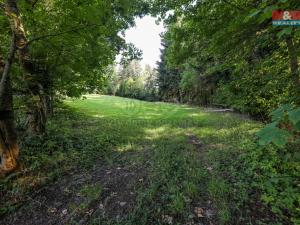 Prodej lesa, Petrovice u Sušice - Maršovice, 15707 m2