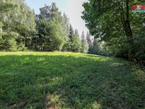 Prodej lesa, Petrovice u Sušice - Maršovice, 15707 m2