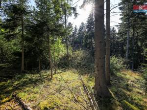 Prodej lesa, Petrovice u Sušice - Maršovice, 15707 m2