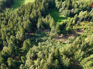 Prodej lesa, Petrovice u Sušice - Maršovice, 15707 m2