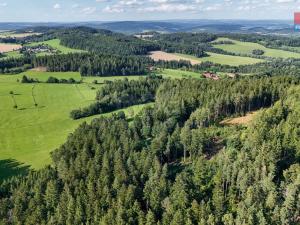 Prodej lesa, Petrovice u Sušice - Maršovice, 15707 m2