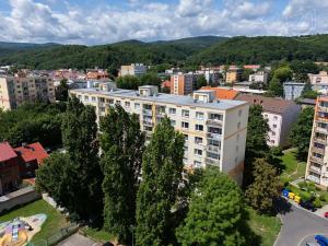 Prodej bytu 2+kk, Litvínov, U Zámeckého parku, 36 m2