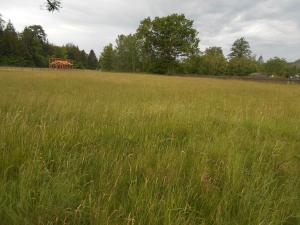 Prodej pozemku, Rybniště, 1856 m2