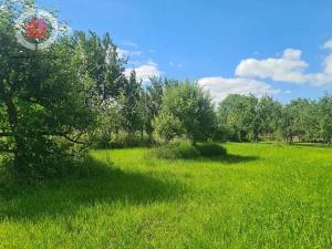 Prodej zahrady, Veselí nad Moravou - Milokošť, V Dědině, 2999 m2