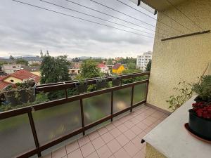 Pronájem bytu 1+1, Frýdek-Místek, K Hájku, 39 m2