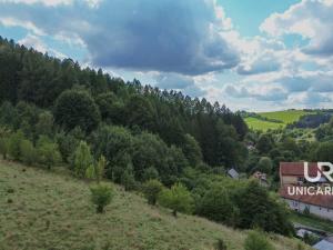 Prodej chaty, Pohledy - Horní Hynčina, 90 m2