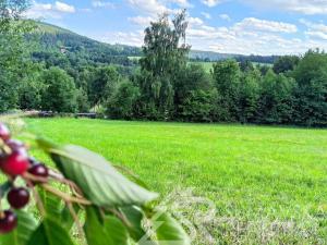Prodej pozemku, Sušice - Záluží, 2272 m2