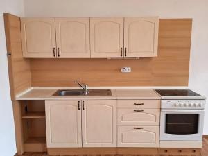 Pronájem bytu 1+kk, Plzeň, Křížkova, 45 m2