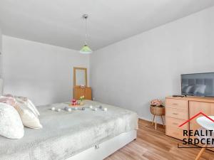 Prodej bytu 1+kk, Karviná, Kosmonautů, 28 m2
