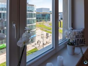 Pronájem bytu 3+kk, Ostrava - Moravská Ostrava, Střední, 117 m2