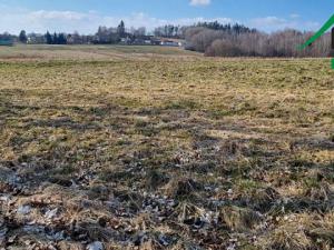 Prodej pole, Halže, 192062 m2