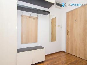 Pronájem bytu 1+kk, Frýdek-Místek, J. E. Purkyně, 27 m2